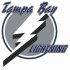 Tampa Bay Lightning Primary Logo 2001 Iron-on Stickers (Heat Transfers)