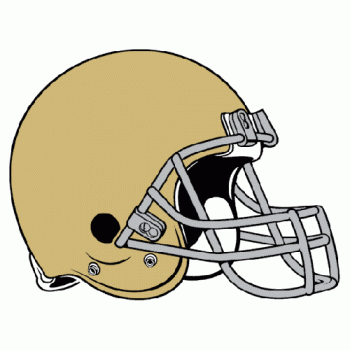 50381964 Notre Dame Fighting Irish Pres Helmet Logo Iron-on Stickers (Heat Transfers)