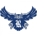 2010-Pres Rice Owls Alternate Logo Decals Stickers