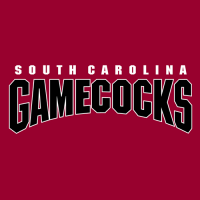 2002-Pres South Carolina Gamecocks Wordmark Logo Iron-on Stickers (Heat Transfers)