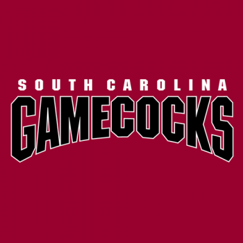 2002-Pres South Carolina Gamecocks Wordmark Logo Decals Stickers