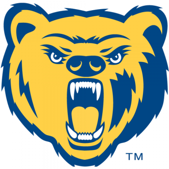 2004-Pres Northern Colorado Bears Secondary Logo Decals Stickers