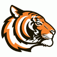 2003-Pres Princeton Tigers Alternate Logo Decals Stickers