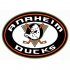 Anaheim Ducks Alternate Logo  Iron-on Stickers (Heat Transfers)