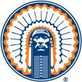 Illinois Fighting Illini 2004-Pres Alternate Logo Decals Stickers