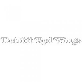 Detroit Red Wings Script Logo  Iron-on Stickers (Heat Transfers) version 2