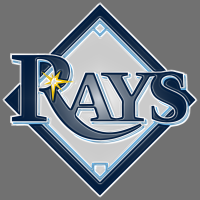 tampa bay rays 2008-pres primary plastic effect logo decal sticker