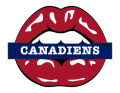 montreal canadiens script logo iron on transfers