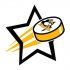 Pittsburgh Penguins Hockey Goal Star iron on transfer