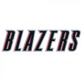 Portland Trail Blazers Script Logo  Iron-on Stickers (Heat Transfers)