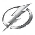 Tampa Bay Lightning silver logo iron on transfer