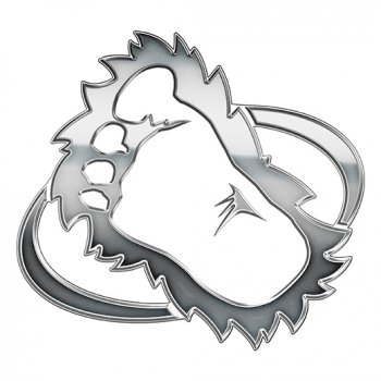 Colorado Avalanche silver logo iron on transfer