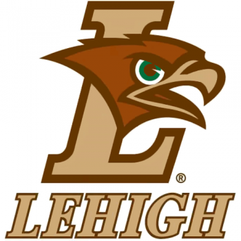 2004-Pres Lehigh Mountain Hawks Alternate Logo Decals Stickers