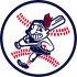 Cleveland Indians Alternate Logo  Iron-on Stickers (Heat Transfers)