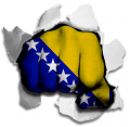 hulk BOSNIA AND HERZEGOVINA Flag iron on transfer