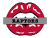 toronto raptors script logo iron on transfers