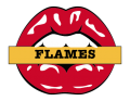 calgary flames script logo iron on transfers