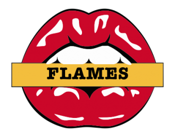 calgary flames script logo iron on transfers