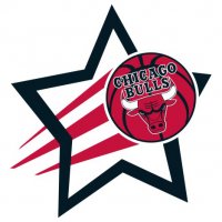 Chicago Bulls Basketball Goal Star decal sticker