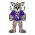 1998-Pres Northwestern Wildcats Mascot Logo Decals Stickers