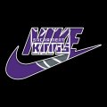 Sacramento Kings nike logo iron on sticker