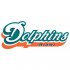 Miami Dolphins Script Logo  Iron-on Stickers (Heat Transfers) version 2