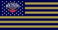 New Orleans Pelicans decal sticker