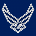 Airforce Tampa Bay Lightning Logo