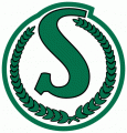 saskatchewan roughriders 1966-1984 primary logo iron on transfers