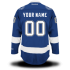 Tampa Bay Lightning Custom Letter and Number Kits for Home Jersey