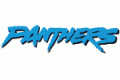 Carolina Panthers 1995-2011 DIY iron on stickers (heat transfer)