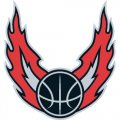 Portland Trail Blazers Alternate Logo  Iron-on Stickers (Heat Transfers)