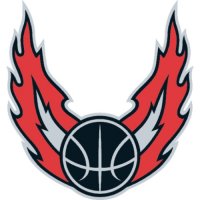 Portland Trail Blazers Alternate Logo  Iron-on Stickers (Heat Transfers)