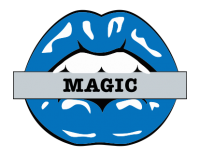 orlando magic script logo iron on transfers