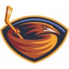 Atlanta Thrashers Iron Ons