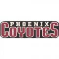 Phoenix Coyotes Script Logo  Iron-on Stickers (Heat Transfers)