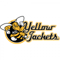 AIC Yellow Jackets 2009-Pres Alternate Logo3 Iron-on Stickers (Heat Transfers)