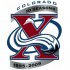 Colorado Avalanche Anniversary Logo  Iron-on Stickers (Heat Transfers)