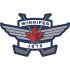 Winnipeg Jets Alternate Logo  Iron-on Stickers (Heat Transfers)