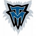 Minnesota Timberwolves Alternate Logo  Iron-on Stickers (Heat Transfers) version 1