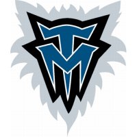 Minnesota Timberwolves Alternate Logo  Decals Stickers version 1