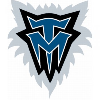 Minnesota Timberwolves Alternate Logo  Iron-on Stickers (Heat Transfers) version 1