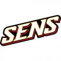 Ottawa Senators Script Logo  Iron-on Stickers (Heat Transfers)