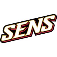 Ottawa Senators Script Logo  Iron-on Stickers (Heat Transfers)