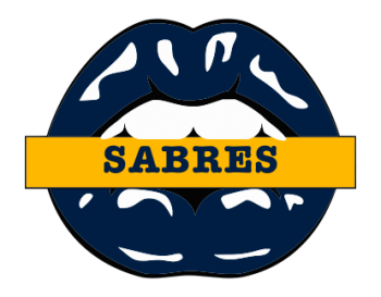 buffalo sabres script logo iron on transfers