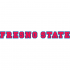 2006-Pres Fresno State Bulldogs Wordmark Logo Iron-on Stickers (Heat Transfers)