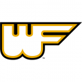 Wake Forest Demon Deacons 1977-1985 Alternate Logo Decals Stickers