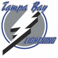 Tampa Bay Lightning Primary Logo  Iron-on Stickers (Heat Transfers)