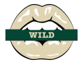 minnesota wild script logo iron on transfers