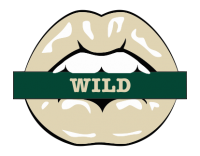 minnesota wild script logo iron on transfers